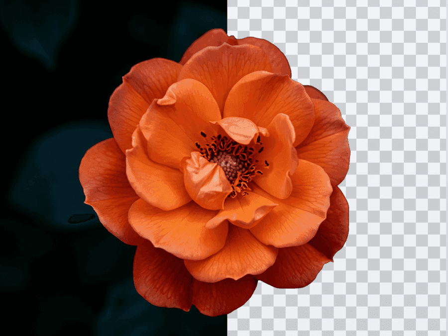 Removing background from a product image in ArtShifted